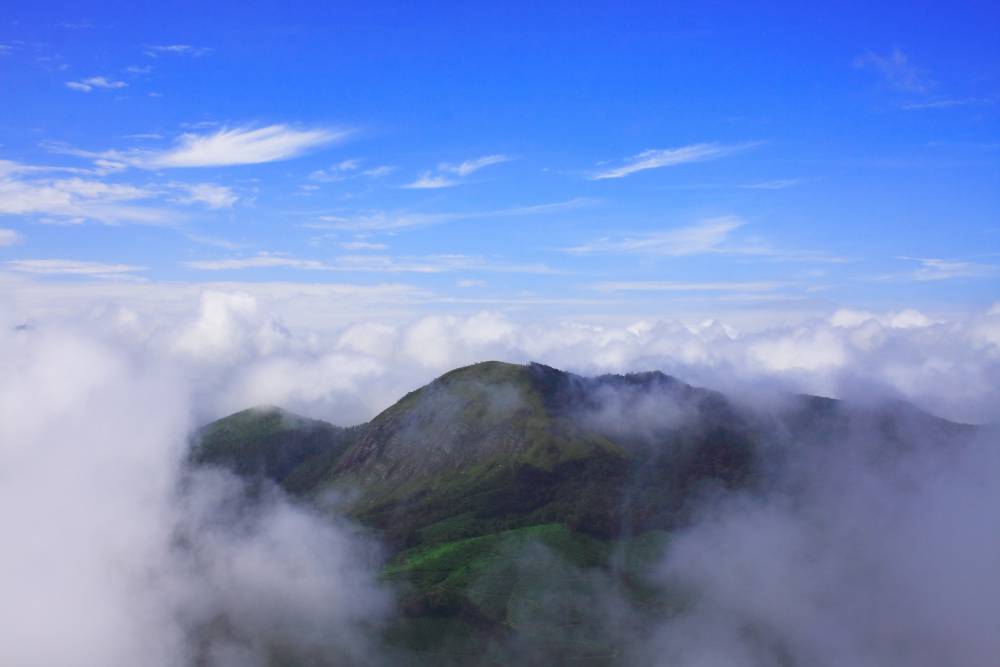 Eravikulam National Park (4).jpg